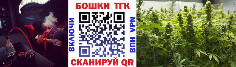 Каннабис план  Купить  Пущино 